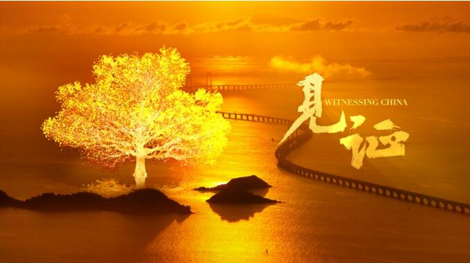 創意視頻｜見證