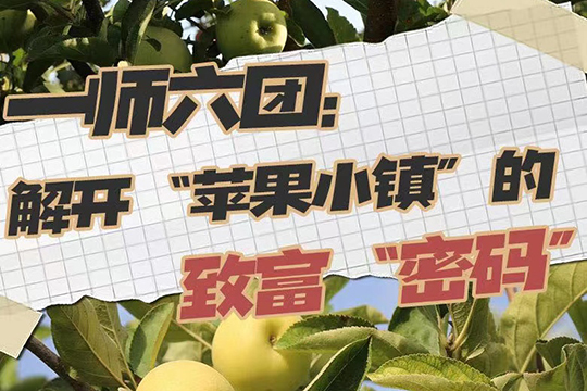 一師六團(tuán)：解開&ldquo;蘋果小鎮(zhèn)&rdquo;的致富&ldquo;密碼&rdquo;