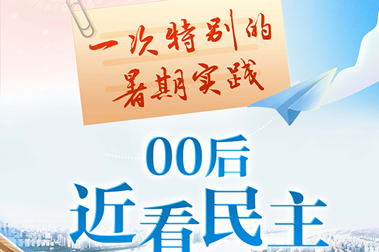 一次特別的暑期實(shí)踐&mdash;&mdash;00后近看民主