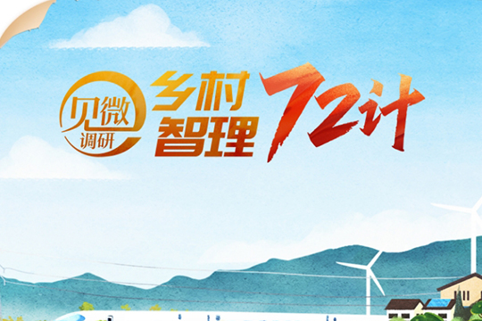 見微調研丨鄉村智理72計