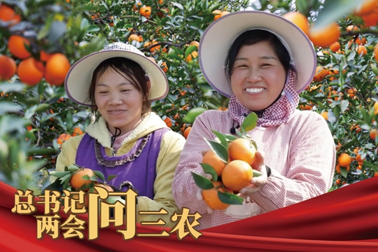 總書記兩會問三農