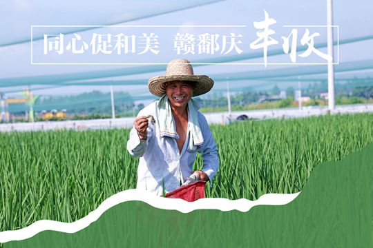 圖說豐收，一起來看看九江最美&ldquo;豐&rdquo;景